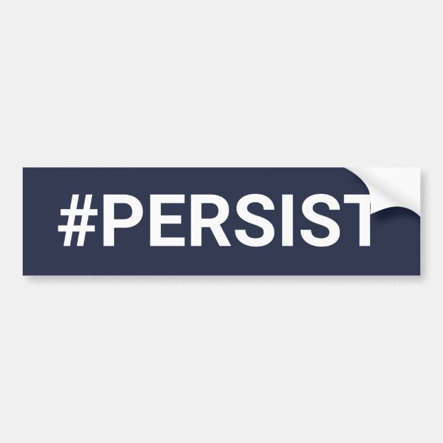 #PERSIST BILDEKAL (Framsidan)
