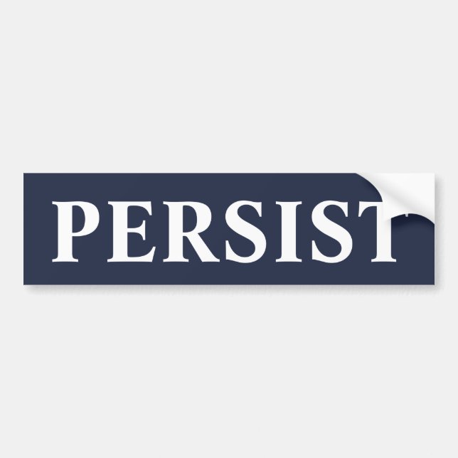 PERSIST BILDEKAL (Framsidan)