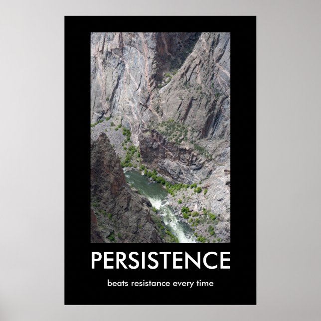 Persistence Demotiational Poster (Framsidan)