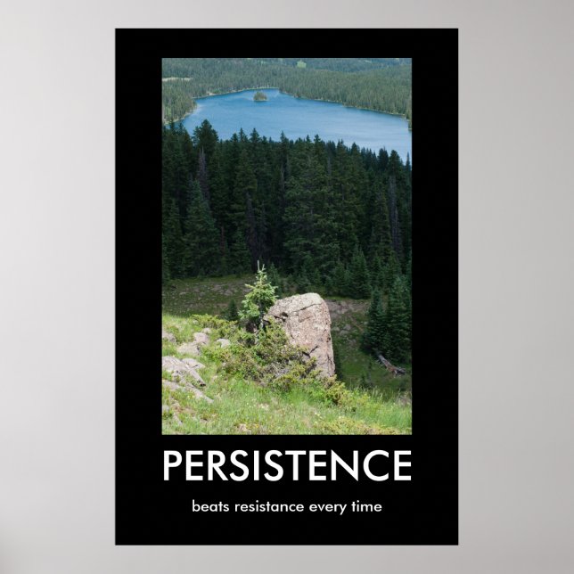Persistence Demotiational Poster (Framsidan)