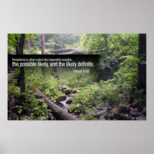 Persistence Motivational Poster (Framsidan)