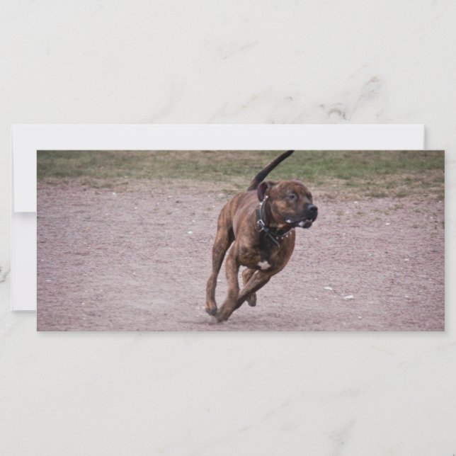 Personal som kör (Framsida)