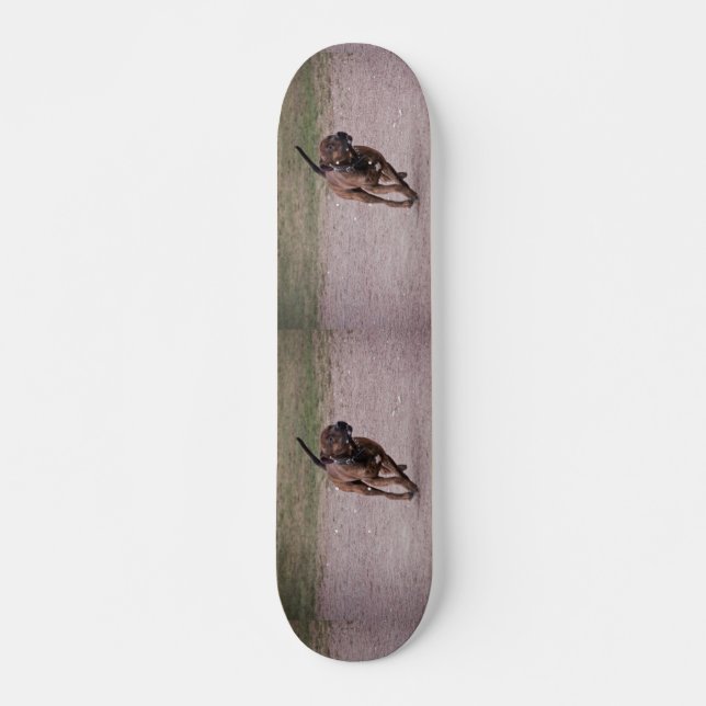 Personal som kör skateboard bräda 20 cm (Framsida)