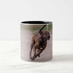 Personal som kör Två-Tonad mugg