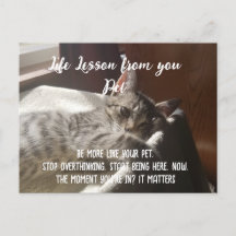 Personalfierat sluta överskatta livstidslockningsk