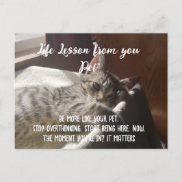 Personalfierat sluta överskatta livstidslockningsk helg vykort