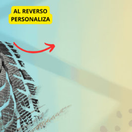  Personalice Facil Paris Roubaix Bikes T Shirt