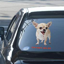 Personalised You Can't See Me Chihuahua WWE Car