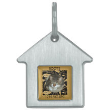 Personalisera Falskt Guldblad på Svart Katt