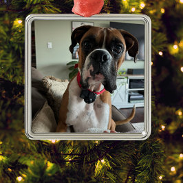 PERSONALISERA Modern PET PHOTO-dekoration Julgransprydnad Metall