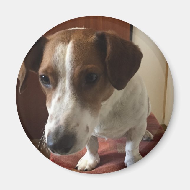 Personalisiert Magnete Magnet (Framsidan)