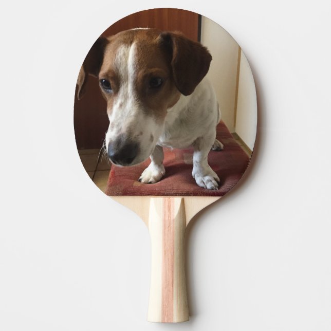 Personalisierter Foto Tischtennisschläger Pingisracket (Framsidan)