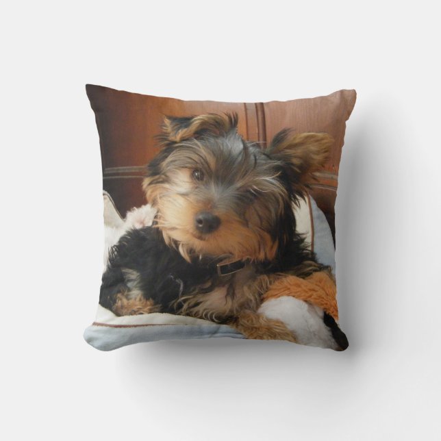 Personality Plus Yorkie Kudde (Framsida)