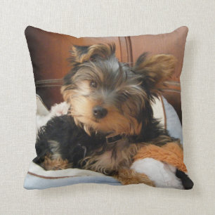 Personality Plus Yorkie Kudde