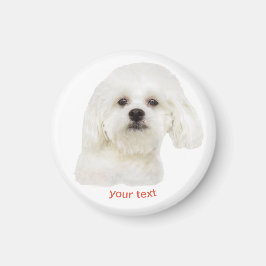 Personalize Cute Maltese Puppy Magnet