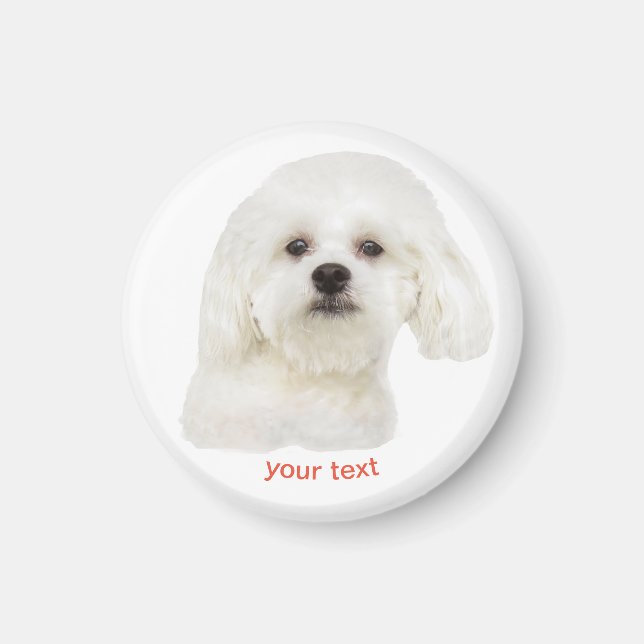 Personalize Cute Maltese Puppy Magnet (Framsidan)