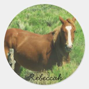 Personalize Namn Horse Runt Klistermärke