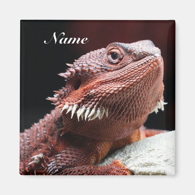 Personalized Adult Red Bearded Dragon Lizard Magnet (Framsidan)