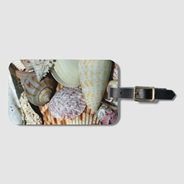 Personalized Beach Seashells Photo Bagagebricka (Framsida horisontal)