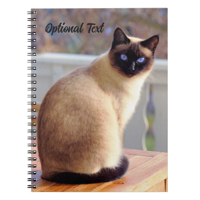 Personalized Beautiful Siamese Cat with Blue Eyes Anteckningsbok (Framsidan)