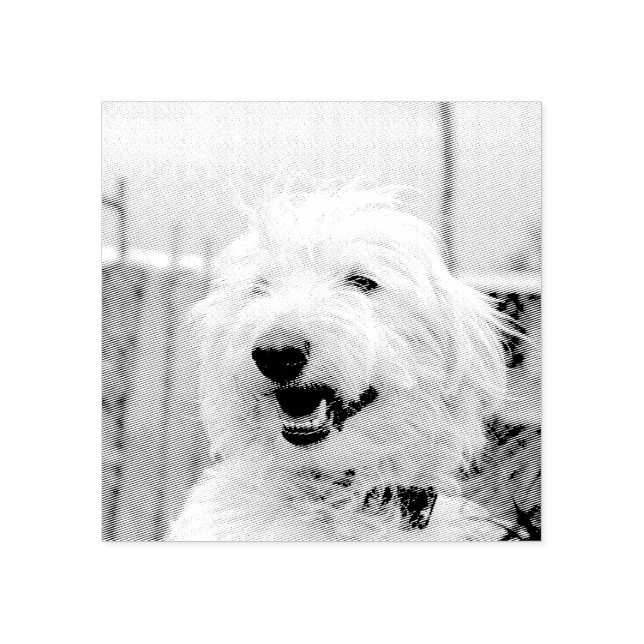 Personalized Custom Pet Photo Etched Style Stämpel (Tryck)