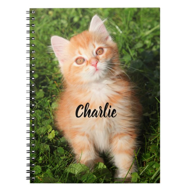 Personalized Cute Fluffy Orange Tabby Cat Kitten Anteckningsbok (Framsidan)
