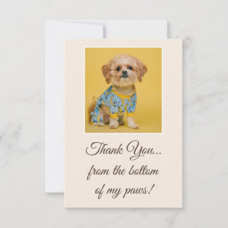 Personalized Cute Funny Pet Dog Picture Theme Tack Kort