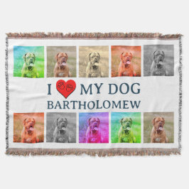 Personalized Dog Pop Art Pet Lover Gift Filt