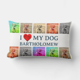 Personalized Dog Pop Art Pet Lover Gift Lumbarkudde