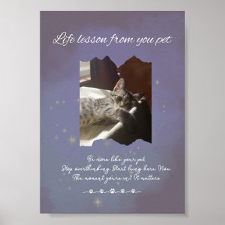 Personalized Dreamy Life Lessons from your Pet  Poster