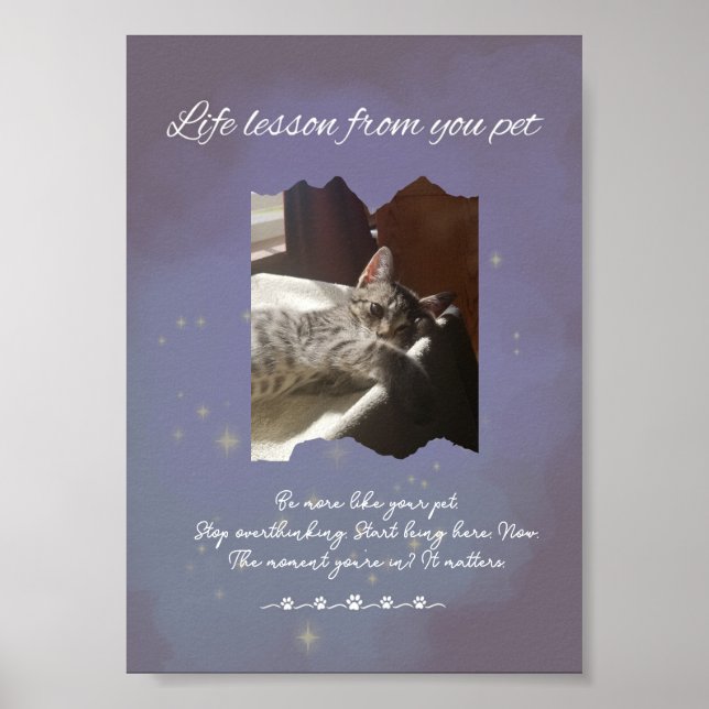 Personalized Dreamy Life Lessons from your Pet  Poster (Framsidan)