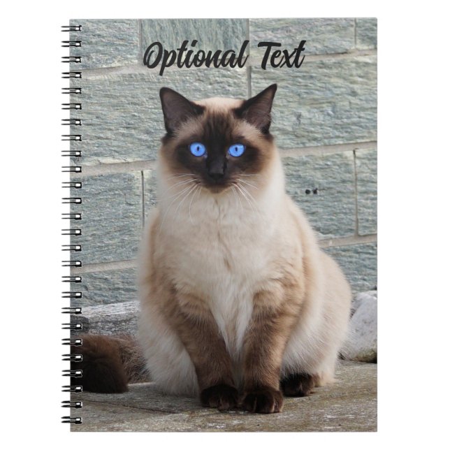 Personalized Fluffy Cat with Blue Eyes Anteckningsbok (Framsidan)
