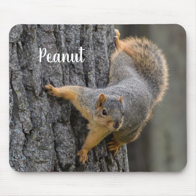 Personalized Fox Squirrel on a Tree Musmatta (Framsidan)