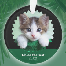 Personalized Green and Black Photo of Cat on
