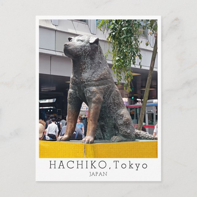 Personalized, Greetings from TOKYO, Hachiko, Japan Vykort (Framsida)