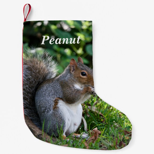 Personalized Grey Squirrel  Liten Julstrumpa (Framsidan)