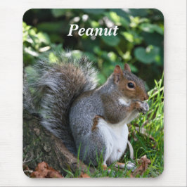 Personalized Grey Squirrel Musmatta