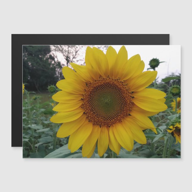 Personalized Image Magnetic Business Display Card (Fram/baksida)