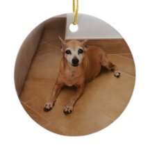 Personalized Name And Photo Pet Memorial