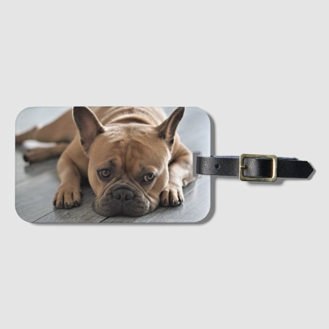 Personalized Pet Dog Photo Bagagebricka (Framsida horisontal)