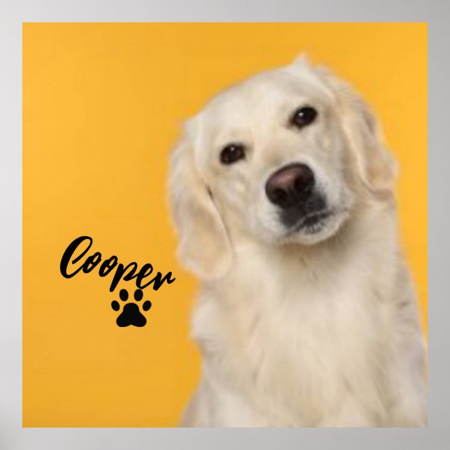 Personalized Pet  Photo Dog Lover with Photo Poster (Framsidan)