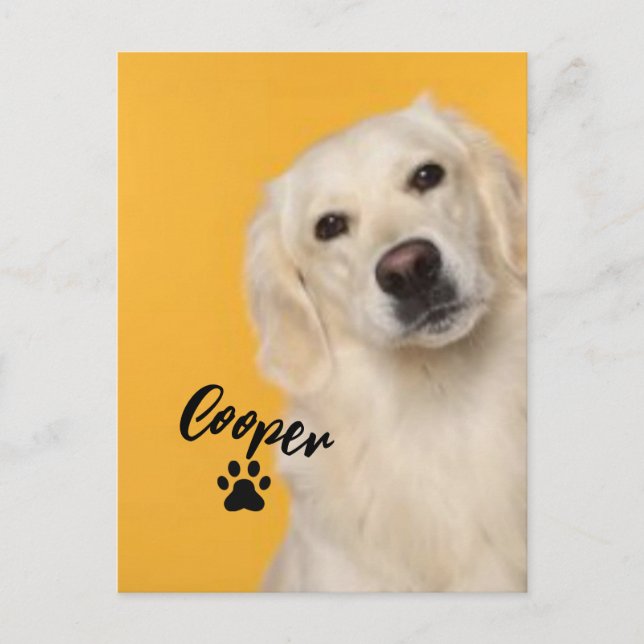 Personalized Pet  Photo Dog Lover with Photo Vykort (Framsida)