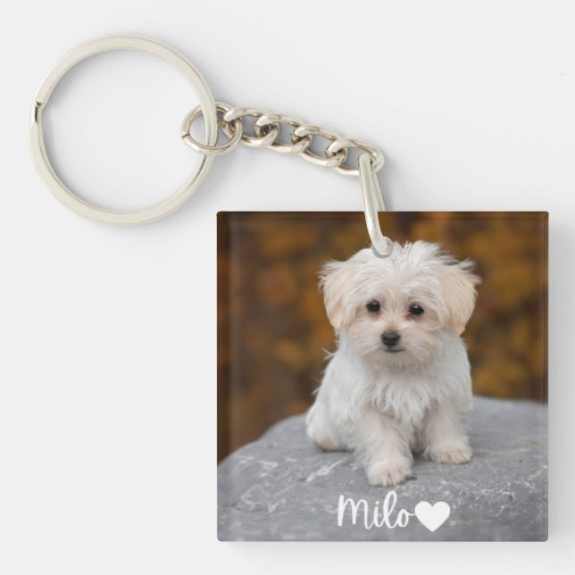 Personalized Pet Photo Keychain with Name (Framsidan)