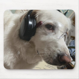 Personalized Pet Photo  Musmatta