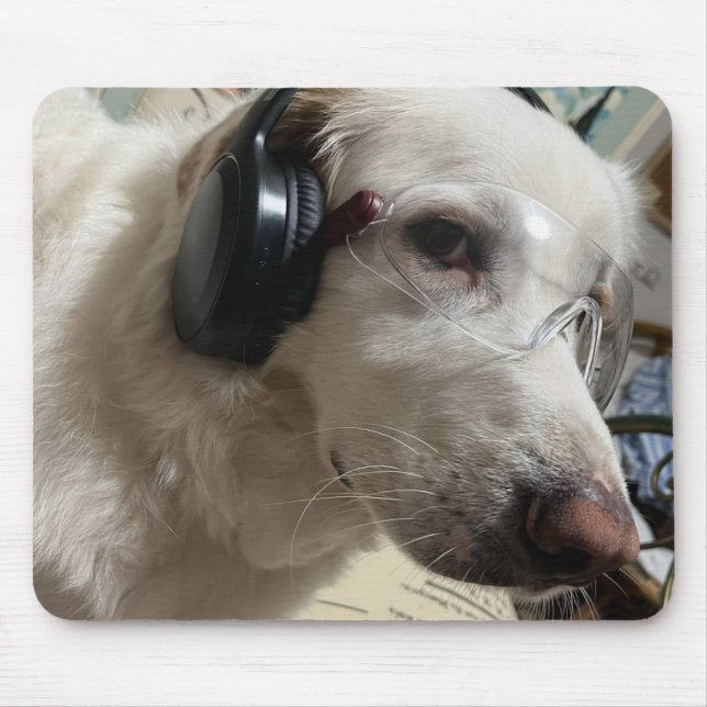 Personalized Pet Photo  Musmatta (Framsidan)