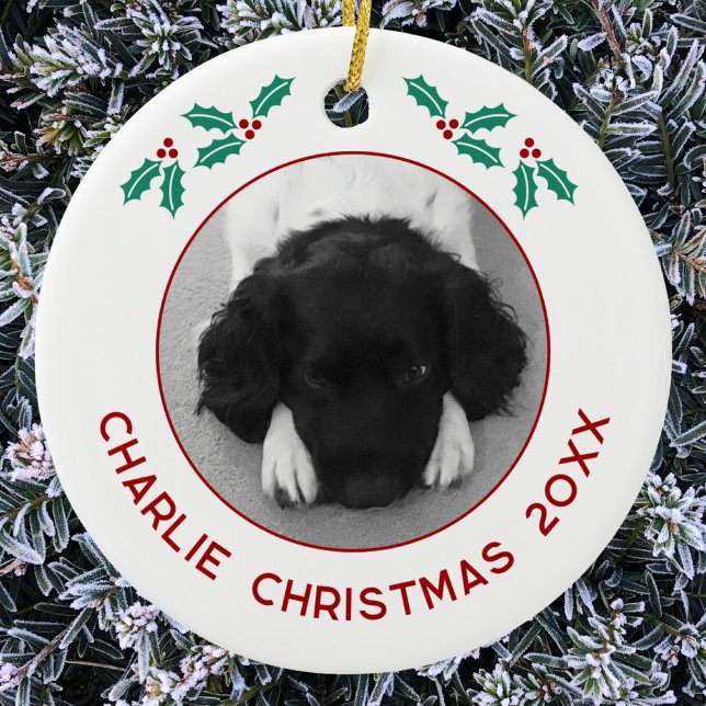Personalized Pet Puppy Dog Christmas Photo Julgransprydnad Keramik (Personalized custom name year puppy dog photo Christmas ceramic ornament for animal lovers)