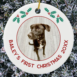 Personalized Pet Puppy Dog First Christmas Photo Julgransprydnad Keramik
