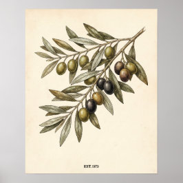 Personalized Rustic Vintage Olive Branch Kitchen Poster