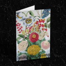 Personalized Vintage Chrysanthemum Poppy Lilac