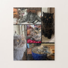 Personalized Your 5 Photo Puzzle Persian Cat Pussel